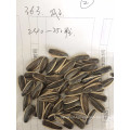 Inner Mongolia cheap bulk sunflower seeds 5009